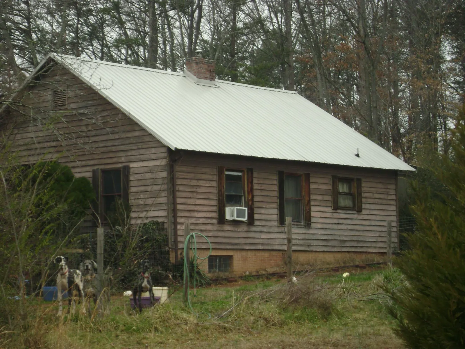 White metal roof on an old wood sided farmhouse, from a Metal Roof Installation job in Bellevue